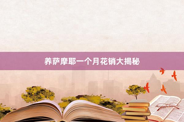 养萨摩耶一个月花销大揭秘