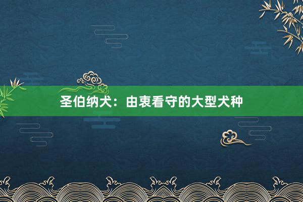圣伯纳犬：由衷看守的大型犬种