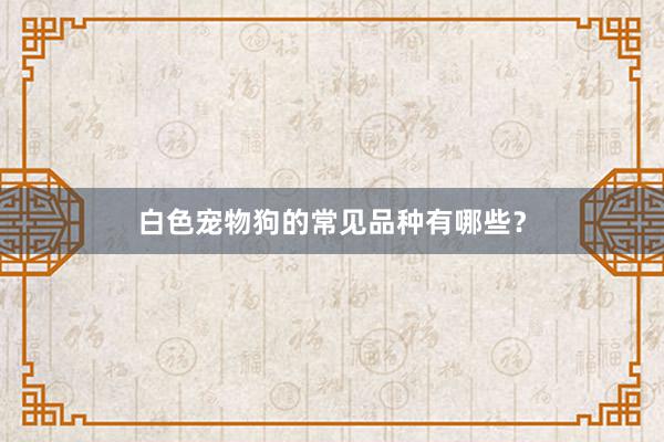 白色宠物狗的常见品种有哪些？