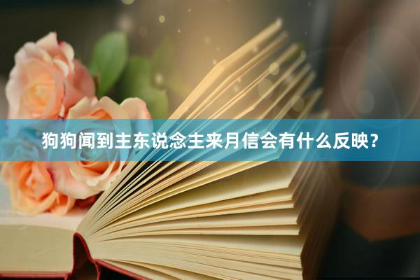 狗狗闻到主东说念主来月信会有什么反映?