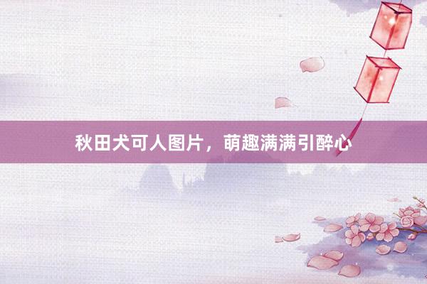 秋田犬可人图片,萌趣满满引醉心