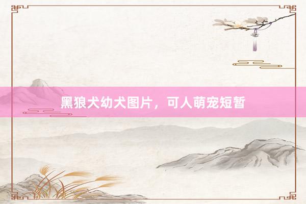 黑狼犬幼犬图片，可人萌宠短暂