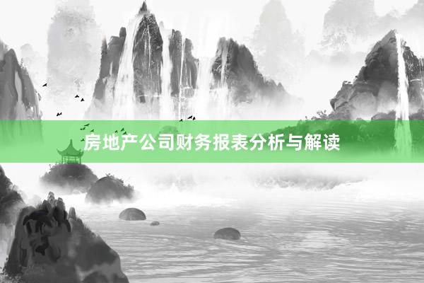 房地产公司财务报表分析与解读